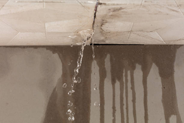 Professional Water Damage Inspection technician working in South Barre, MA